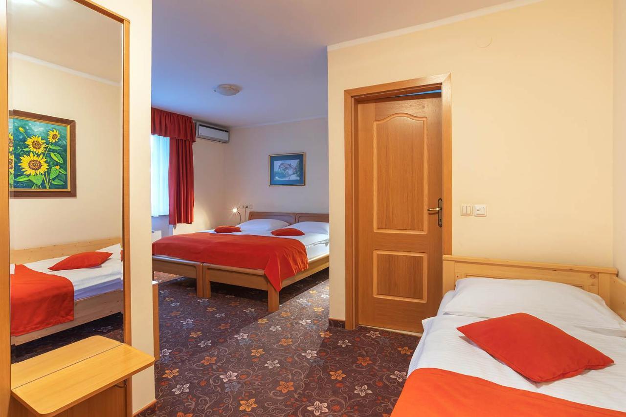 Alp Guest house